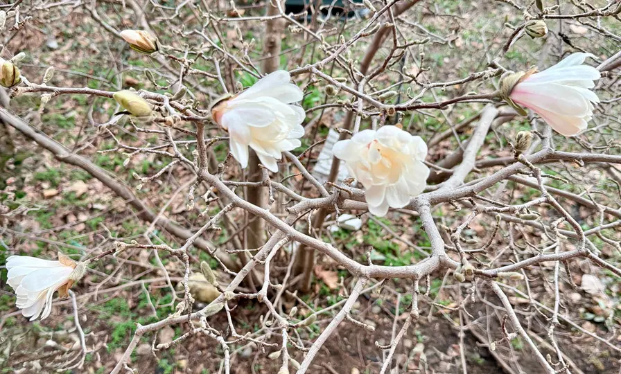 March 2026 Newsletter 1
