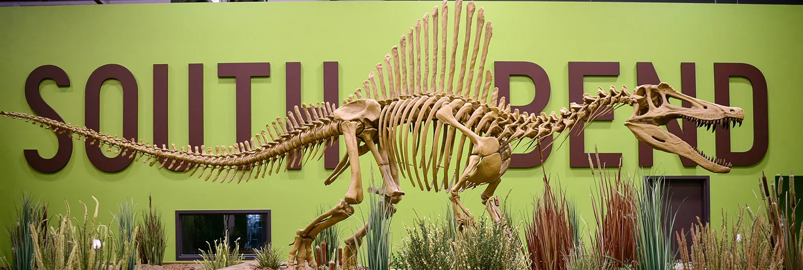 Museums & Attractions​